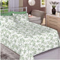 Jogo de Cama Queen Monte Santo 180 Fios - 7747
